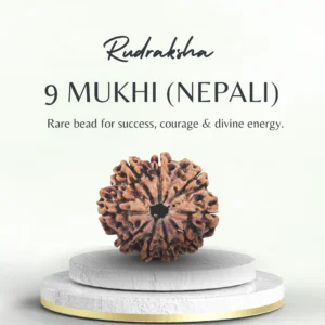 Premium Nepali 9 Mukhi Rudraksha Super Collector