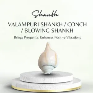 Valampuri Shankh / Conch / Blowing Shankh