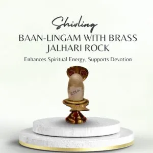 Baan-lingam with Brass Jalhari Rock-Quartz(sphatik)