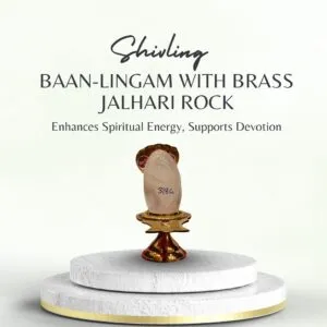 Baan-lingam with Brass Jalhari Rock-Quartz(sphatik)