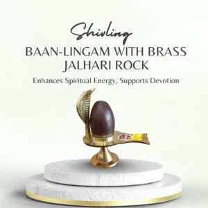 Narb-deshwar shivling with brass jalhari