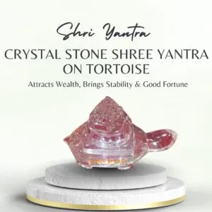 Crystal stone Shree Yantra on Tortoise fourty three gram